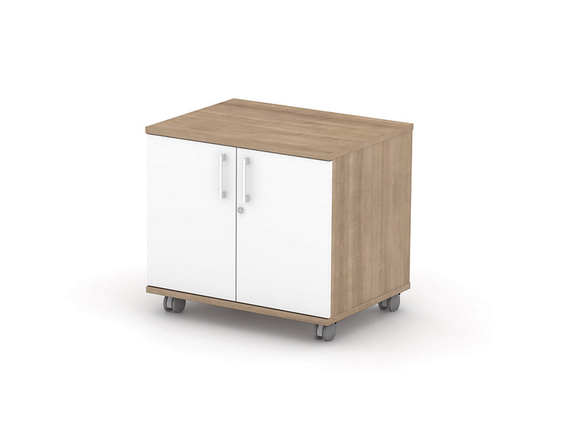 imperial hinged door cupboard with wheels
