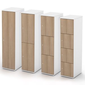 2 TONED - 2 DOOR PERSONAL LOCKER - 400 W X 525 D X 1657 H