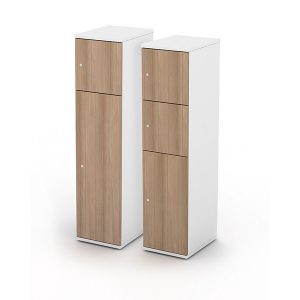 1 SMALL 1 TALL DOOR PERSONAL LOCKER - 400 W X 525 D X 1657 H