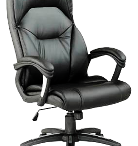 Mayfair Executive Armchair