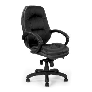 Brighton Leather Executive Armchair