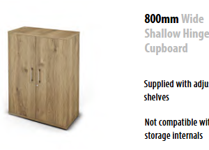 HD118154 800mm Wide Shallow Hinged Door Cupboard